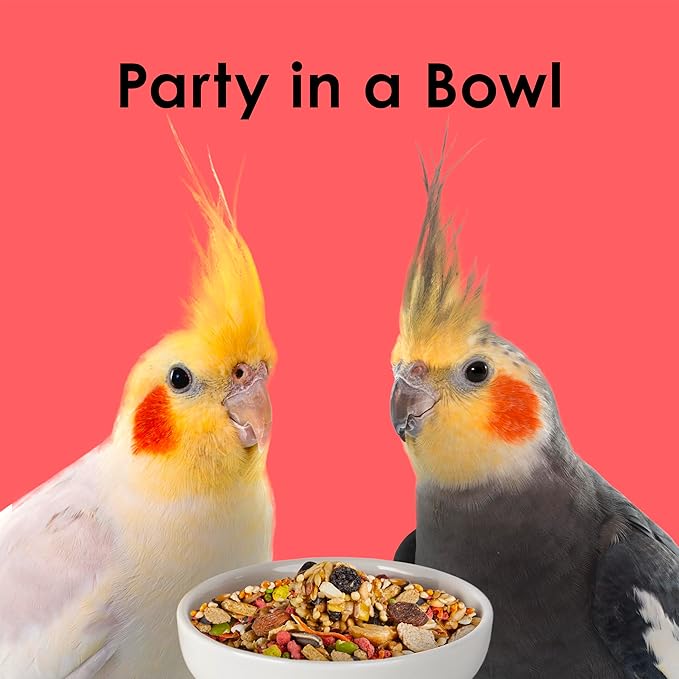 Kaytee Fiesta Cockatiel Food, Nutritious and Fun Blend, Supports Skin, Feather, Digestion, Brain and Heart Health, 4.5 pounds