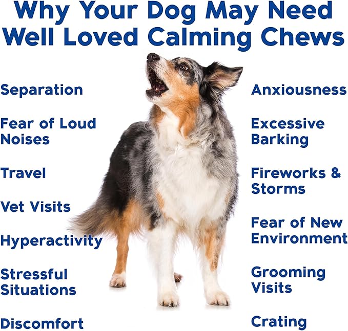 Calming Chews for Dogs - Dog Calm Treats, Made in USA, Vet Developed, Behavior Support, Stress, Separation, Fireworks, Travel, Melatonin, Natural & Holistic, 90 Count