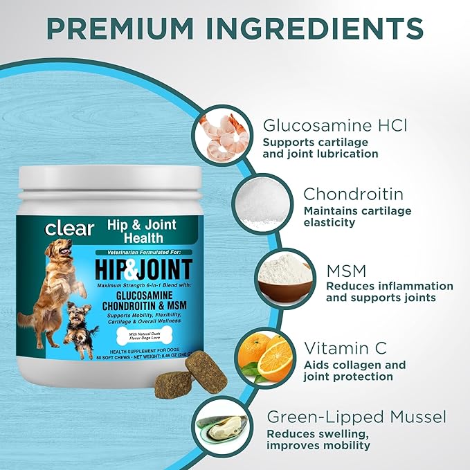 Glucosamine for Dogs Hip and Joint Supplement - Chondroitin, MSM, Green-Lipped Mussel - Clear Hip & Joint - Advanced Mobility Cartilage Support, Bone Health - Tasty Chews 60ct - Made in USA