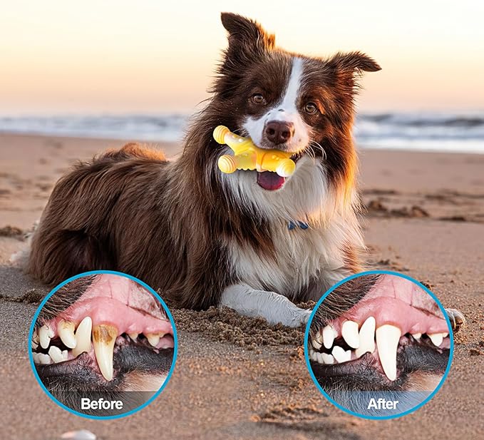 KXK Dog Toys 3 Pack, Indestructible Toys for Aggressive Chewers, Tough Dog Chew Toys for Large Medium Breed, Dog Bones Chew Toys for Super Chewer