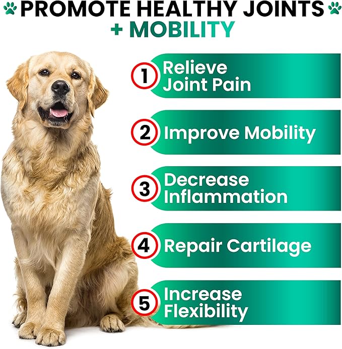 Hemp Hip and Joint Supplement for Dogs - Glucosamine for Dogs - 170 Joint Pain Relief Treats - Chondroitin, MSM, Hemp Oil - Advanced Health Supplement - Mobility Support Chews - Made in USA