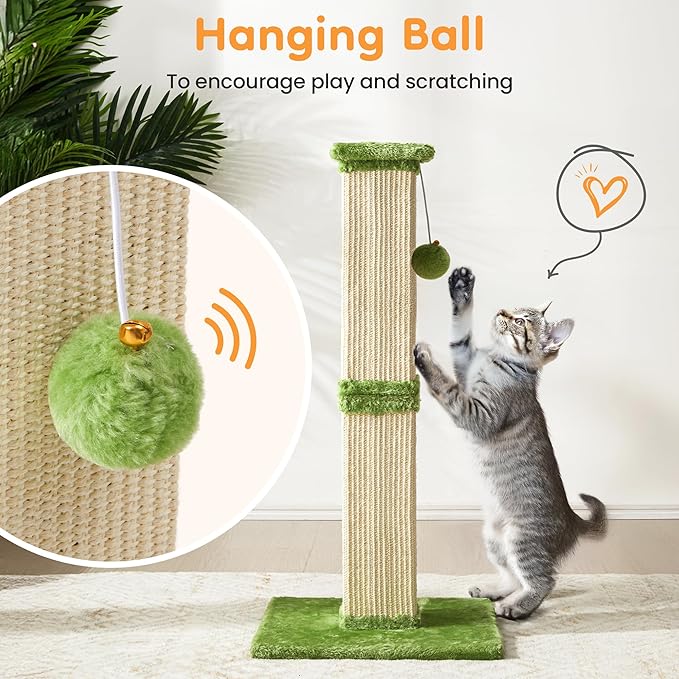 Indoor Cat Scratching Post: 32 in Tall Cat Scratcher with Natural Sisal Rope, Kitty Pet Tower with Sturdy Wood Base and Hanging Ball Toy, Great Gift for Small and Large Kittens, Green