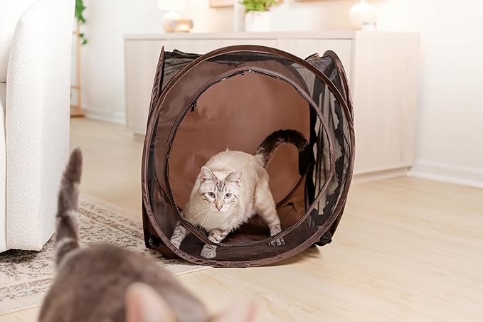 Chonky Cat Playground Set – Tunnel + Tent Combo for Maximum Zoomies