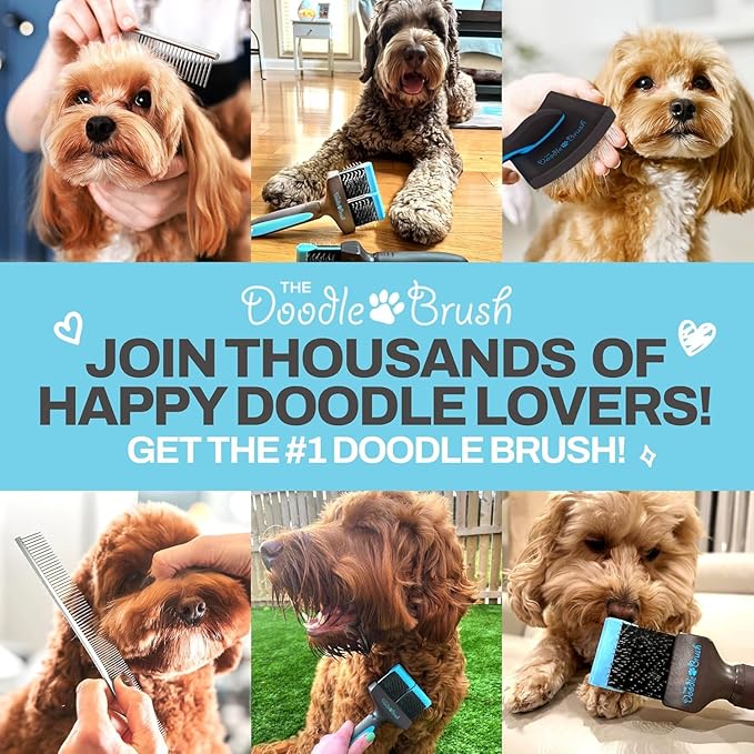 Doodle Brush Slicker Brush for Dogs - Doodle Detangler for Goldendoodle, Bernedoodle, Cockapoo, Cavapoo - Dog Brushes for Grooming & Dematting - Dog Grooming Brushes - Poodle Pin - Extra Long Pin