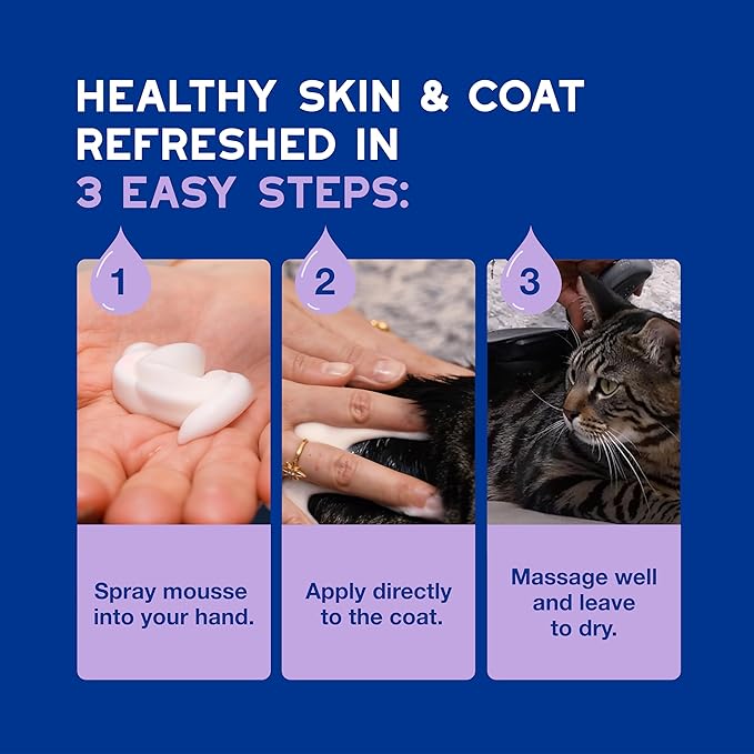 DOUXO® Skin & Coat SPA - Ultra-Safe Low-Stress Refresh Leave-on Mousse for Cats, 10 fl oz, Leaves The Coat Clean, Refreshed, Soft, Radiant and Smelling Great, Skin-Friendly Formula