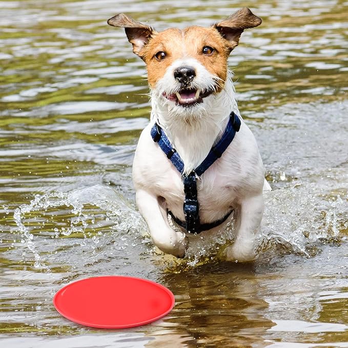Chivao 15 Pack Dog Flying Disc Silicone Puppy Flyer Toy Soft Dog Floating Saucer Indestructible React Faster Training Interactive Toys for Small Medium Puppy Outdoor Sport, 5 Colors