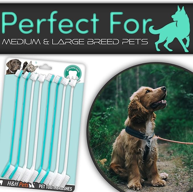 H&H Pets Dog Toothbrush Dual Headed Design Dental Toothbrushes for Small & Large Dogs, 4 or 8 Counts Pack