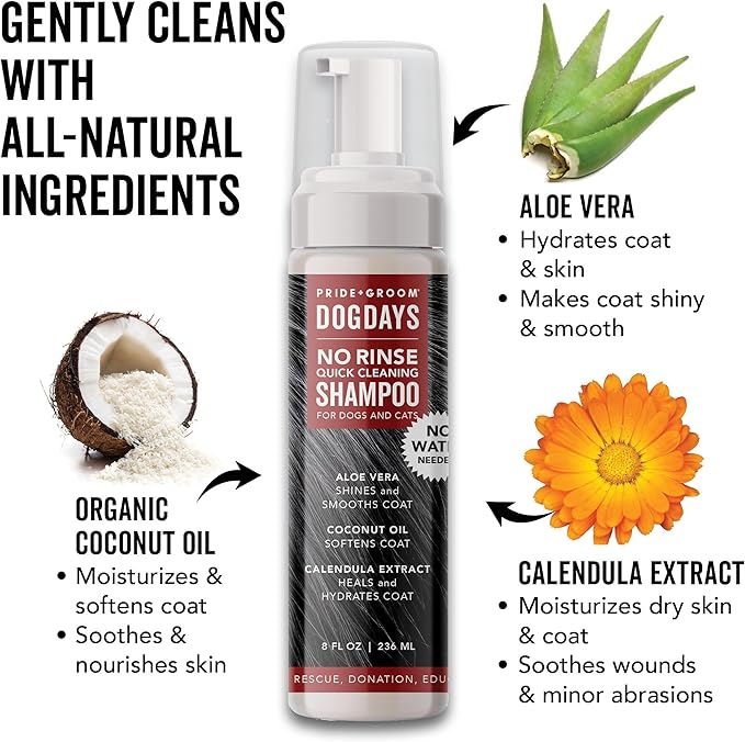 Pride and Groom DogDays No Rinse Quick Cleaning Shampoo | Waterless Foaming Dry Shampoo for Dogs & Cats | Odor-Eliminating, Hypoallergenic Pet Cleanser | 8 fl oz | Made in USA