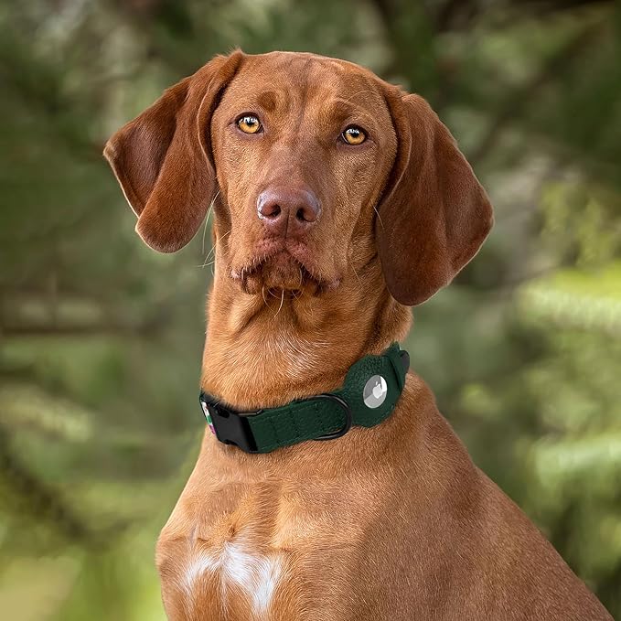 AirTag Dog Collar with Metal Buckle - Soft Leather Printed Nylon Dog Collar with Apple AirTag Holder - Cute Tracking GPS Pet Collars for Girl Boy Small Large Dogs (M, 14"-18" Neck Fit, Floral)