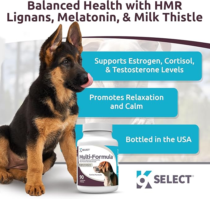 K9 Select Multi-Formula Dog Vitamins for Medium Dogs - 20mg HMR Lignans, 2mg Melatonin, 40mg Milk Thistle - Helps Heart, Liver, Digestion & Coat Health, Dog Multivitamin, 90 Capsules