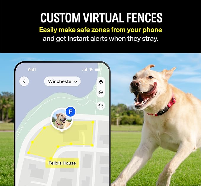 Fi Series 3 Smart Dog Collar - GPS Dog Tracker and Activity & Health Monitor, Waterproof, LED Light, Escape Alerts, Nationwide Coverage [Free 1 Year Membership] (Yellow, Large)