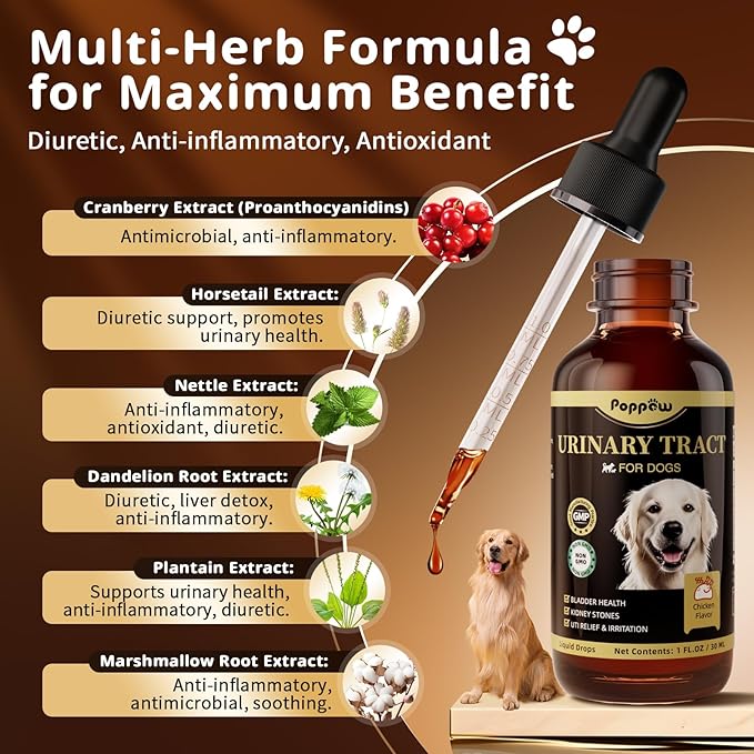 (2 Pack) POPPAW Dog UTI Treatment & Urinary Tract Support – Natural Herbal Drops with High Cranberry Extract, Vitamin B6 for Urine pH Balance, Bladder & Kidney Function, Chicken Flavor, 2 OZ