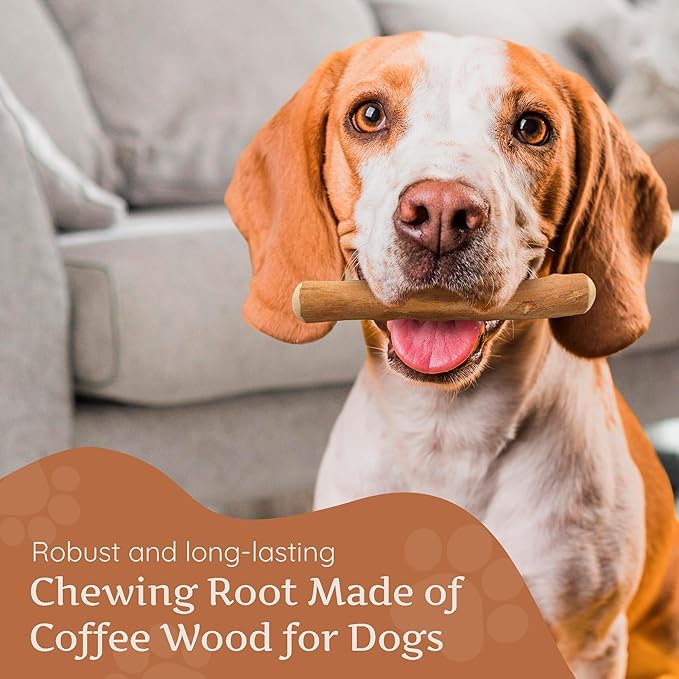 Wildfang® Coffee Wood Dog Chew, Medium - Tough Chew Toys for Aggressive Chewers, Dog Teething Toys for Puppies, Training for Chewing Muscles, Coffee Tree Sticks for Medium Dogs (33-55 lbs)