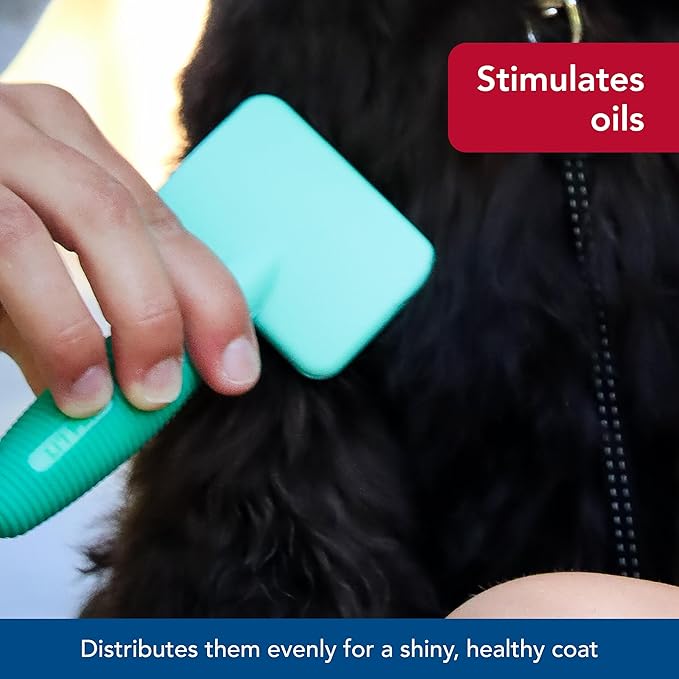 Coastal Pet Li'l Pals Dog Slicker Brush with Coated Tips - Dog Grooming Brush for Small Breeds & Puppies - One Size