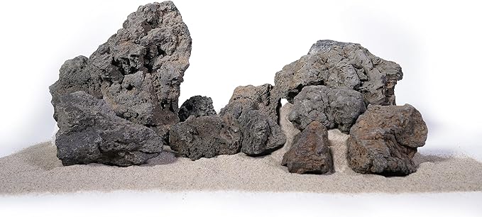 LANDEN Aquascape Hardscape Bundle – Black Lava Rock 18lbs (3–11”) + Spider Wood XL (12–16”, 4pcs) for Aquarium, Terrarium, Paludarium Landscaping