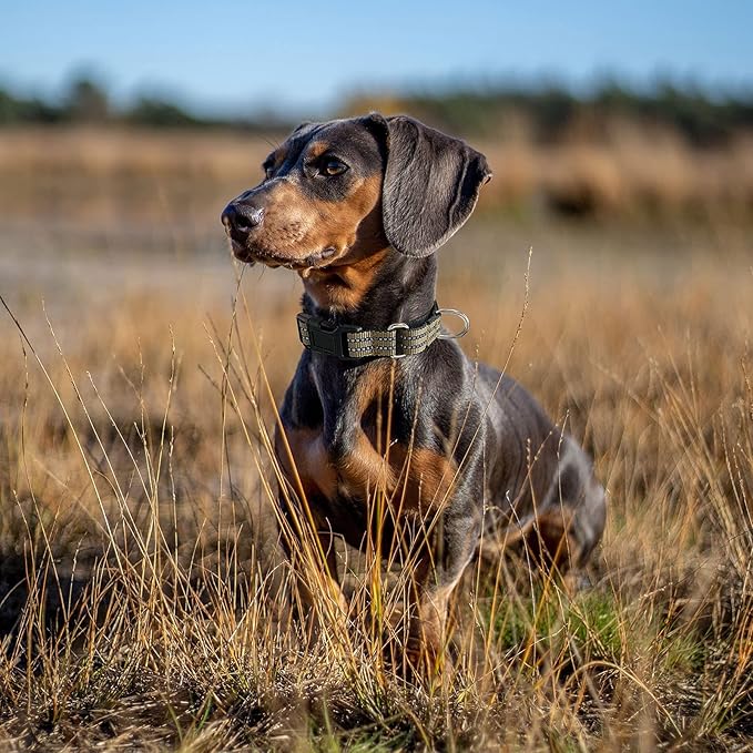 Hikiko Martingale Dog Collars Reflective Nylon Dog Collar with Quick Release Buckle Adjustable Training No Slip Dog Collar (Medium, Brown)