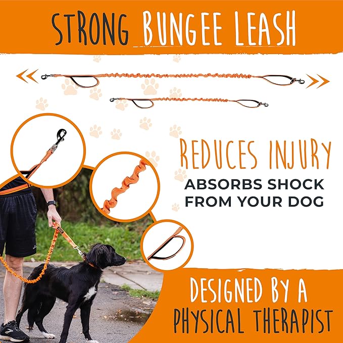 Mighty Paw Hands Free Dog Leash | Bungee Waist Leash for Dog Walking. Pet Running Hands Free Tether for Large, Medium & Small Breeds. Pet Waist Belt (36" - 48") Up to 150 lbs - Orange