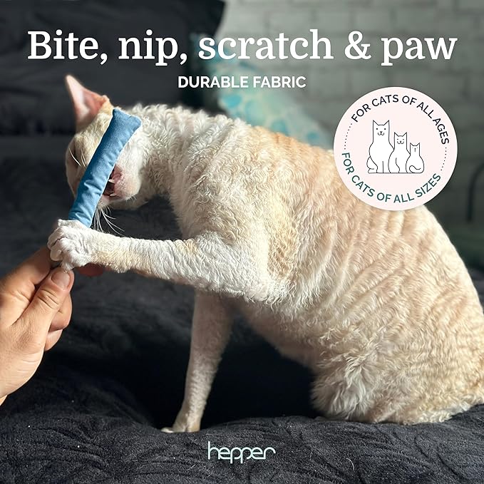 Hepper Stick Catnip Kicker - Organic American Catnip Bag, Minimalist Cat Toys for Indoor Cats
