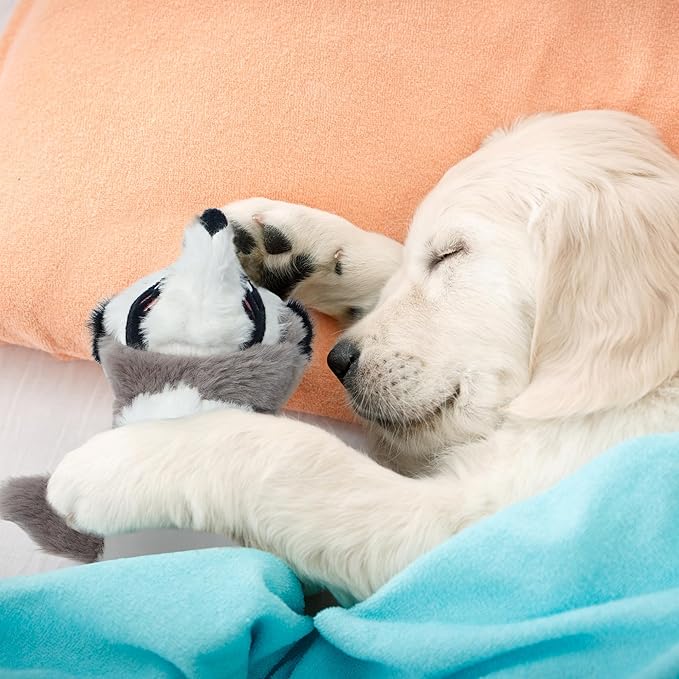 Nocciola 2-in-1 No Stuffing Crinkle Dog Toys with Soft and Durable Fabric, Holds Water Bottles, 2 Extra Long & 3 Regular Size Stuffless Squeaky Dog Toys for Small to Large Dog