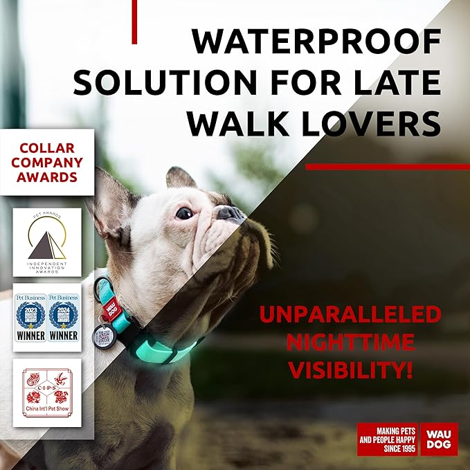 WAUDOG Waterproof Dog Collar - Adjustable Glow Dog Collar for Large Dogs, Small and Medium Dogs - Heavy Duty Dog Collars with Durable Metal Clasp and QR Dog Tag - Glow in The Dark Dog Collars