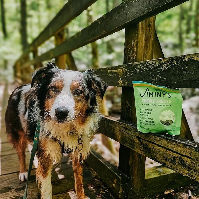 Jiminy's Chewy Cricket Dog Training Treats, Chewy, Low Calorie, Hypoallergenic, Made in USA, 6oz, Sweet Potato & Pea (Pack of 3)