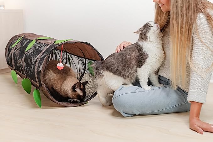 Chonky Cat Playground Set – Tunnel + Tent Combo for Maximum Zoomies