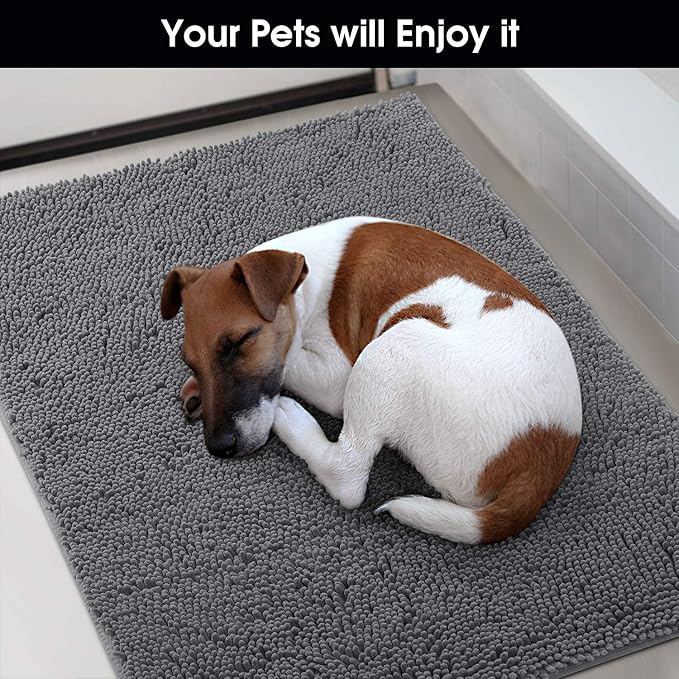 HOMEIDEAS Doormat Indoor Entrance, 36"x24", Highly Absorbent Chenille Muddy Dog Washable Non Slip Front Welcome Door Floor Mat for Entryway, Grey