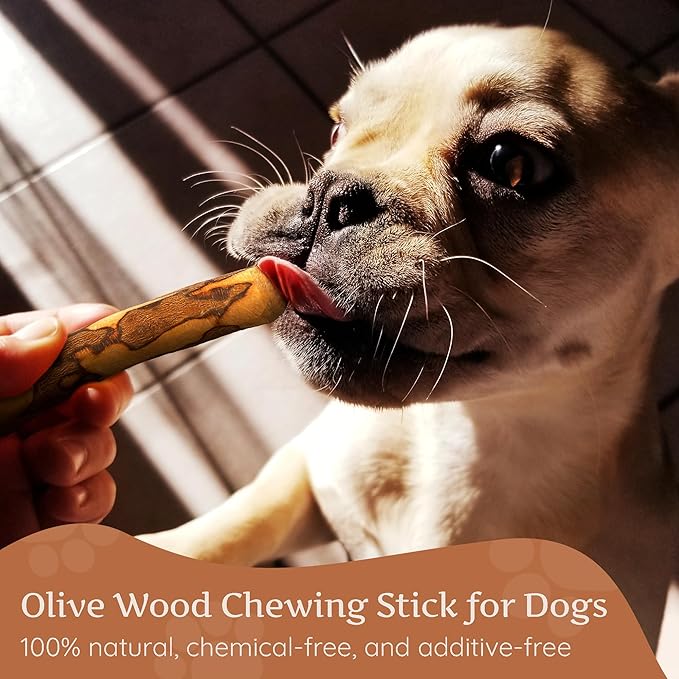 Wildfang® Olive Wood Chewing Sticks for Dogs, Large - Tough Chew Toys for Aggressive Chewers, Puppy Chew Toys for Teething, Training for Chewing Muscles, Olive Wood Stick for Dog (Under 33lbs), 3pack