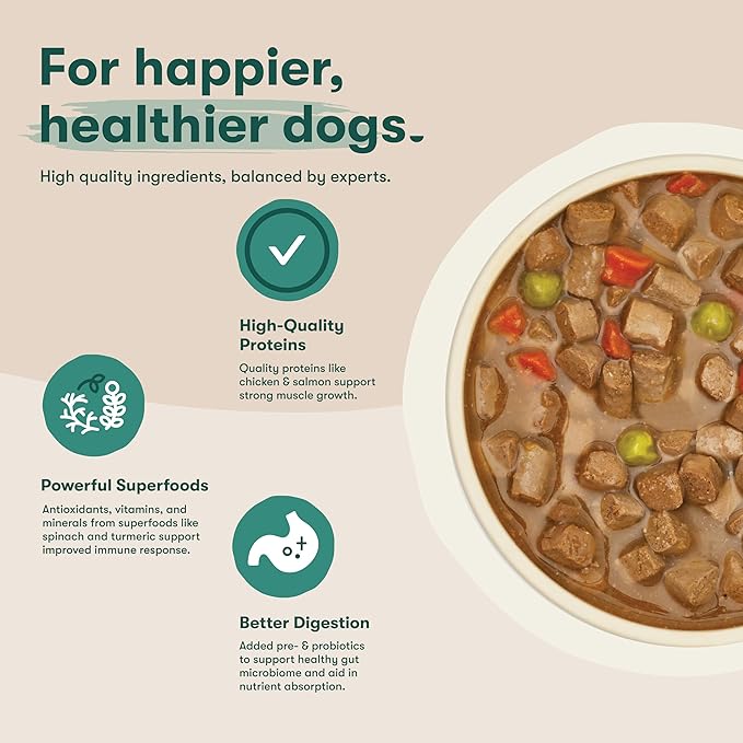 Jinx Bone Broth Stew for Dogs, Variety Pack - Chicken & Salmon Recipes - Grain-Free Wet Dog Food & Topper for Picky Eaters - Promotes Lean Muscle Growth, Healthy Coat & Digestion - 13 Oz, 12 Pack