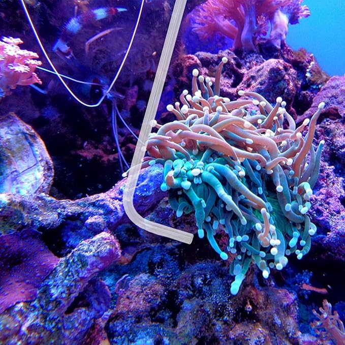 KABASI Coral Feeder Fish Feeder Waste Clean Tool, 50ml Manual Acrylic Pipette Suction Dropper with 2PCS Extension Pipes for Fish Tank Cleaning, Water Changer Waste Remover for Aquarium