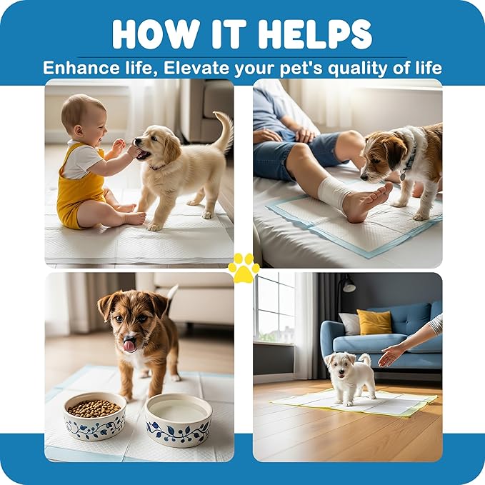 MoMoCo Value Pack Puppy Training Pads 23"x23", 200 Count (Blue100 + Pink100) – Leak-Proof & Super Absorbent Potty Pads for Dogs, Cats & Rabbits