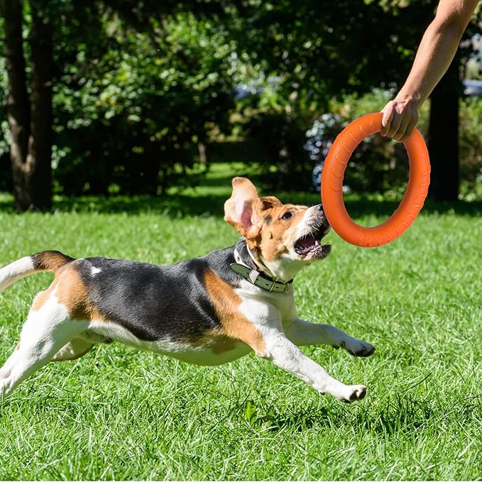 Leitee 2 Pack Dog Toys, Ring Toys Flying Discs for Small to Large Dogs - Training, Fetching, Floating, Teeth Cleaning (11 Inch)