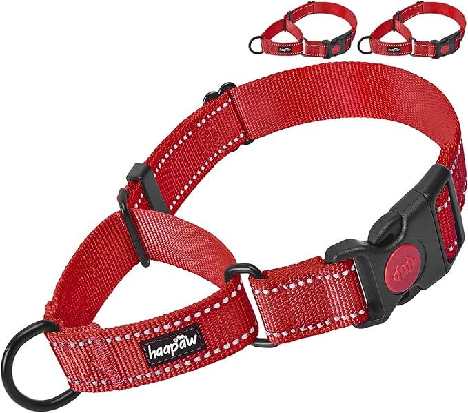 haapaw 2 Packs Martingale Dog Collar with Quick Release Buckle Reflective Dog Training Collars for Small Medium Large Dogs