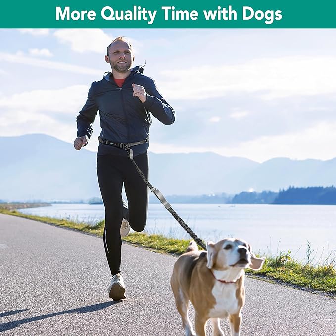 PetAmi Heavy Duty Hands Free Dog Leash, Adjustable Waist Belt for Large Dog Walking Up to 125 lbs, Bungee Leash for Pet Running, Hiking, Reflective Safety for Jogging, Biking, Grey Handle