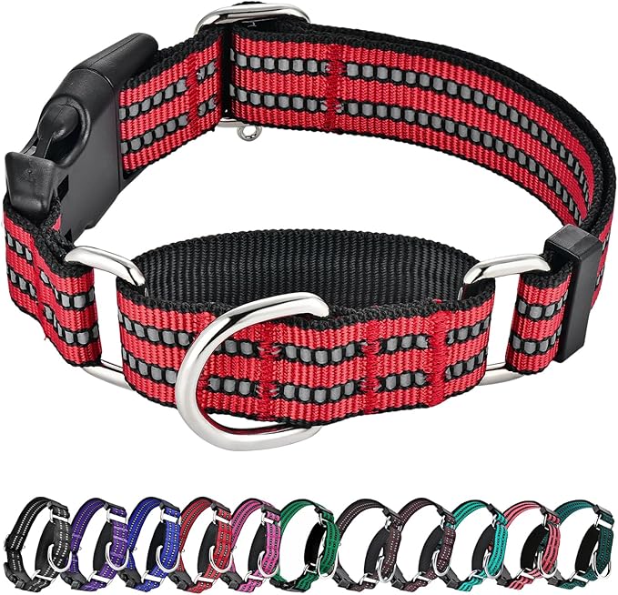 Hikiko Martingale Dog Collars Reflective Nylon Dog Collar with Quick Release Buckle Adjustable Training No Slip Dog Collar (Small, Red)