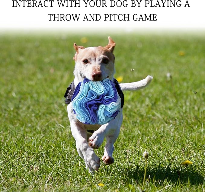 WishLotus Dog Snuffle Ball, Interactive Dogs Toys Ball, Dog Brain Stimulating Puzzle Toys for Dogs, Enrichment Game Feeding Mat Slow Feeder Stress Relief(Blue)