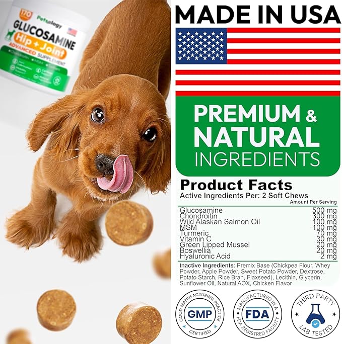 (2 Pack) Glucosamine for Dogs - 340 Mobility Chews - Advanced Hip and Joint Supplement for Dogs - Glucosamine Chondroitin - MSM - Joint Pain Relief - Made in USA