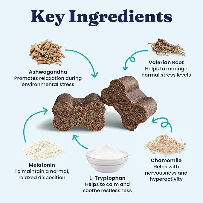 Solid Gold Calming Chews for Dogs - Dog Calming Chews w/Melatonin for Separation, Stress & Hyperactivity Relief - Supports Relaxation for Travel, Fireworks & Storms - All Ages & Sizes - Bacon 120ct