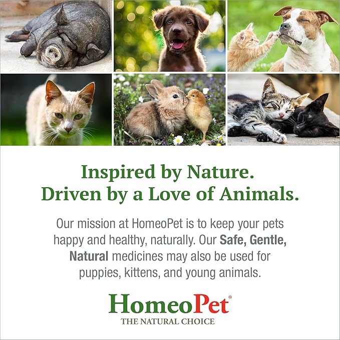 HomeoPet Feline Kidney Rescue, Safe and Natural Renal Supplement for Cats and Kittens, 15 Milliliters