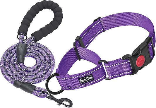 haapaw 2 Packs Martingale Dog Collar with Quick Release Buckle Reflective Dog Training Collars for Small Medium Large Dogs