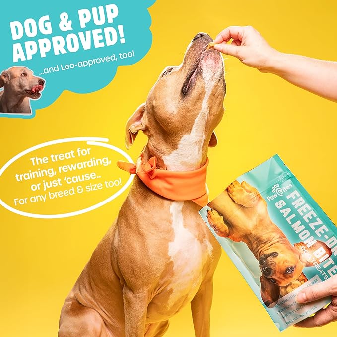 Freeze Dried Dog Treats - Wild Caught Salmon - Dog Food Dry Snacks - with Protein & Omega 3s - for All Breeds & Sizes - No Artificial Flavors & Dyes, No Preservatives - 1 Pouch, 4 oz