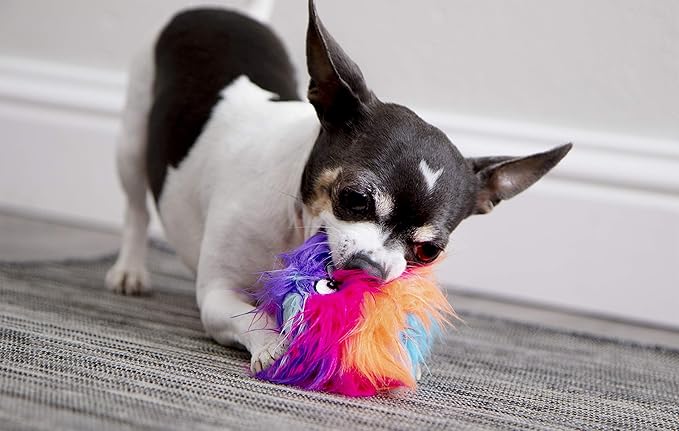 goDog Just for Me Furballz Squeaky Plush Ball Dog Toy, Chew Guard Technology - Cool Rainbow, Mini