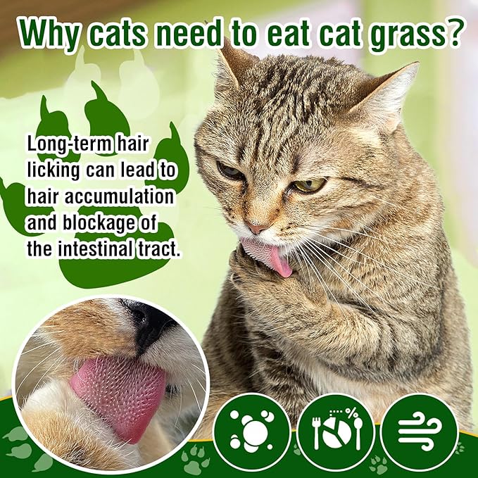Freezed Drying Cat Grass Treats, Cat Grass Teething Sticks Cats Snacks for Hairball Removal and Dental Care