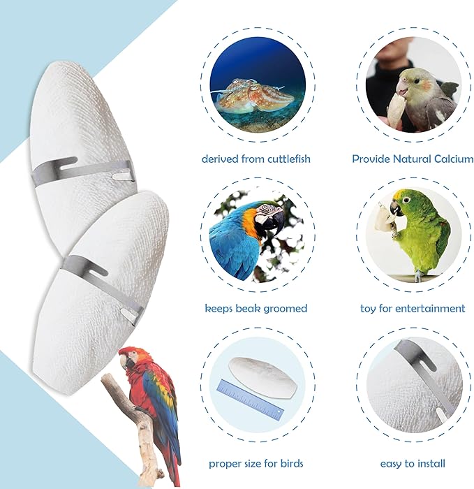 Jmxu's 5"-5.5" Bird Cuttlebone for Parakeets, Cuddle Bone with Metal Holder, Cuttlefish Bone for Sharp Beaks, Natural Birds Calcium for Parrots Cockatiels Budgie, 12Pcs