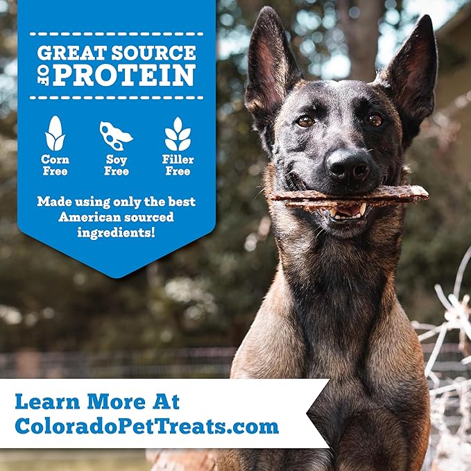 Fresh Field Salmon & Sweet Potato Jerky Chips, 14 oz – All-Natural Dog Treats, USA Made, Omega-3 Rich, Supports Health