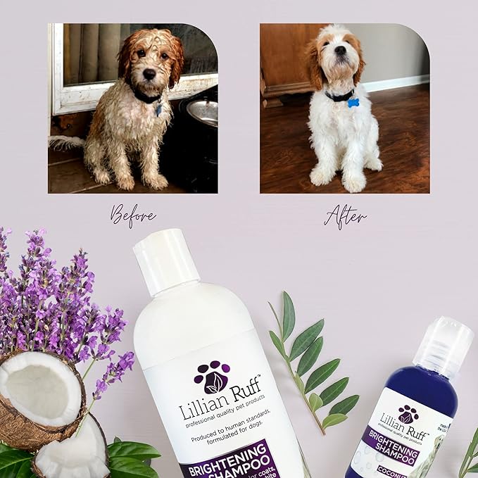 Lillian Ruff Brightening Shampoo & Oatmeal Conditioner Set for Dogs – Safe for Cats - Tear Free Coconut Scent with Aloe for Normal, Dry & Sensitive Skin