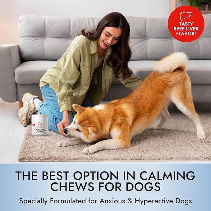 Pet Vet Calming Chews for Dogs – Dog Anxiety Relief (Beef Liver Flavor 60 Chews) – Stress Relief, Supplements for Hyperactive & Anxious Dogs – Dog Anxiety Bites for Relaxation, Pet Care Products