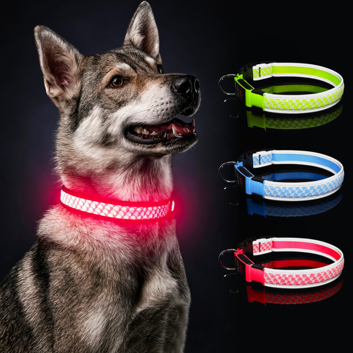 BiPawTi LED Dog Collar - Rechargeable, 3 Light Modes, Glow in The Dark for Night Walking, Large Dogs (Pink, L)