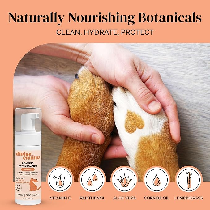 Foam Dog Paw Cleaner - 1.7 Fl Oz of Alcohol Free Foaming Paw Sanitizer Spritz - Made with Coconut, Aloe, Copaiba Oil, and Lemongrass Oil to Nourish and Clean Paws - Made in The USA