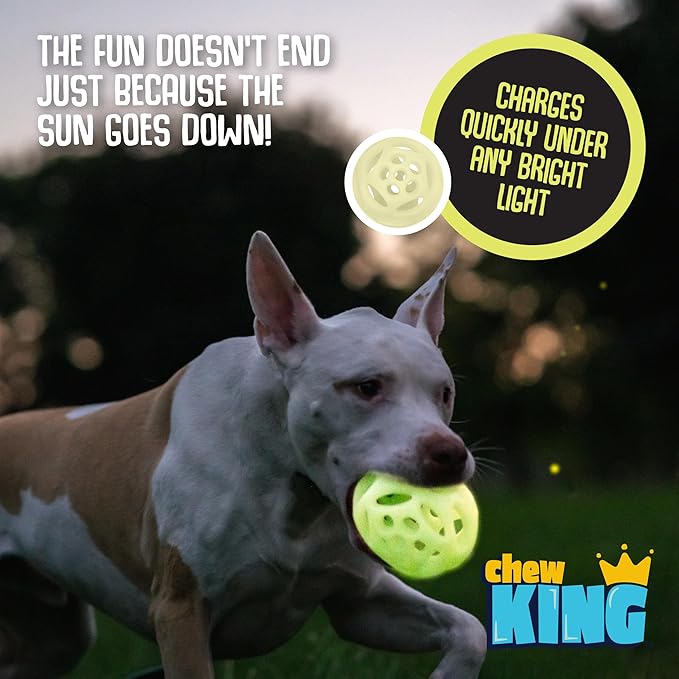 Chew King Glowing Fetch Ball, Dog Ball Toys, Large 2-Pack Lattice